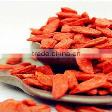 ningxia goji berry supplier 2016 new crop