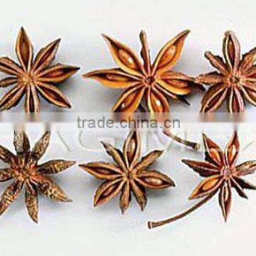 Star Aniseeds Anise Without Stems, Reddish Color - Best Price & High Quality by HAGIMEX photo-2
