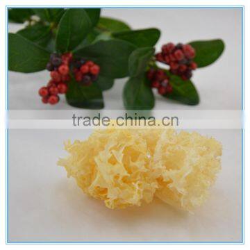 Chinese Snow Fungus Mushroom photo-4