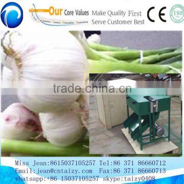 Garlic Root Cutting Machine Garlic Root Cutting Machine photo-2