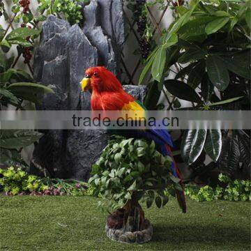 New Zealand's Indigenous parrots birds for sale small