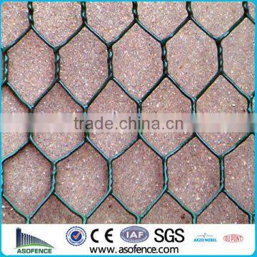 PVC Coated Hexagonal Wire Netting(Anping A.S.O Factory)