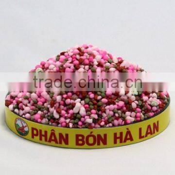 NPK 22-10-24+TE for DRAGON FRUIT photo-5