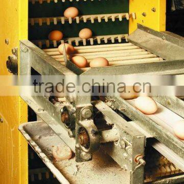 Egg Collection System