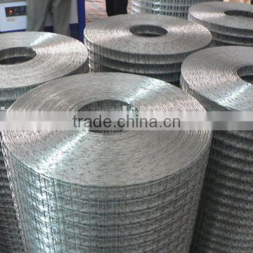 Galvanized Welded Wire Mesh