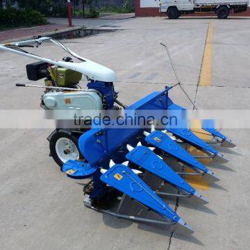 2016 Big Promotion Rice Cutting Machine photo-2