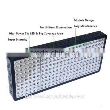 Hight Quality High Power Led Herb Gorw Light From Shenzhen Factory photo-5