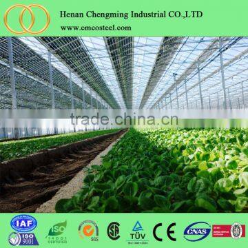 3 x 2 x 2M Plastic Tunnel Greenhouse photo-2