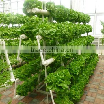 Agricultural Hydroponic NFT Planting Growing System