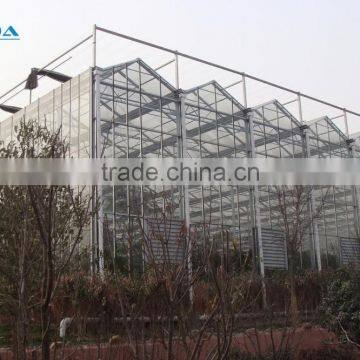 Arc Multi-span Glass Greenhouse for Strawberry photo-2