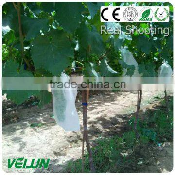 Nonwoven Fabric for Agriculture