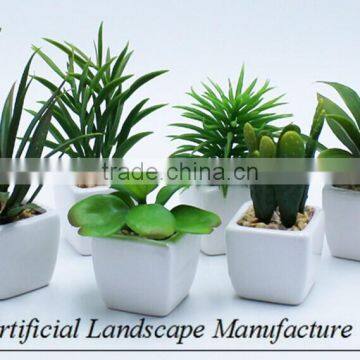 Artificial Green Mini Plants for Office Decoration photo-3
