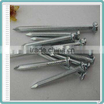 High Quality Cement Concrete Nail photo-3