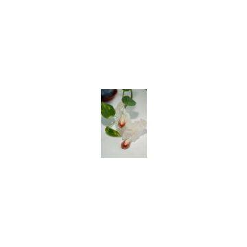 Hong Kong New Design Earring