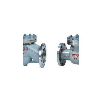 Flange Check Valve