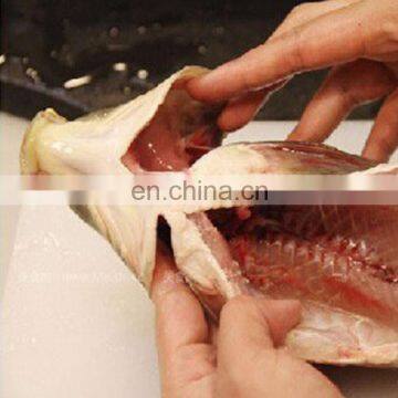 Electric Fresh Fish Scaling Machine Fish Gutting Peeling Machine From China Factory photo-3