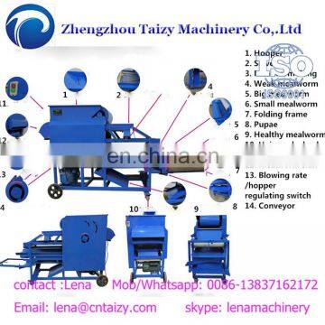 Yellow Mealworms Separator Tenebrio Molitor With Factory Price photo-5