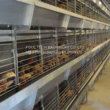 Djibouti Poultry Farm Battery Broiler Cage & Meat Chicken Cage & Chicken Coop in Chicken Shed