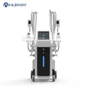 2019 Professional 4 Handles Working Simultaneously Cryolipolysis Vacuum Slimming Machine