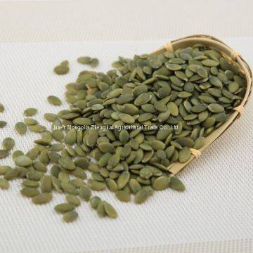 Shine Shell Pumpkin Kernel photo-4