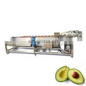 China Factory Supply Commercial Fruit Vegetable Cleaning Washing Machine Apple Fruit Washer photo-3