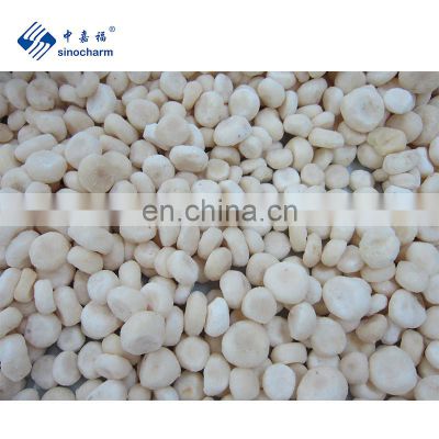 Sinocharm Frozen vegetable 8*8 mm IQF Water Chestnuts Frozen Water Chestnut diced