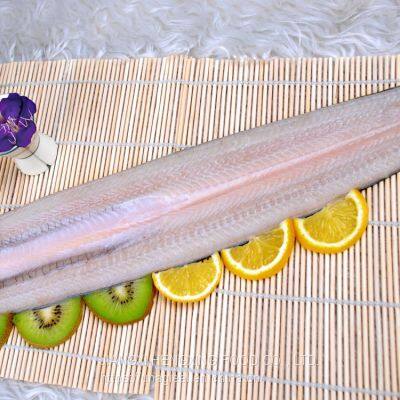 Frozen Gutted Eel Fillet (Anguilla Rostrata/Japonica)- fresh water river eel