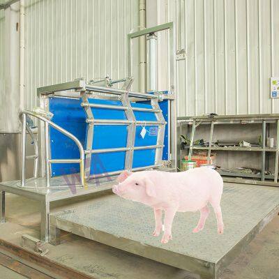 Assured Quality And Trans Soution Pork Killing Machine Stunning Box For Slaughterhouse