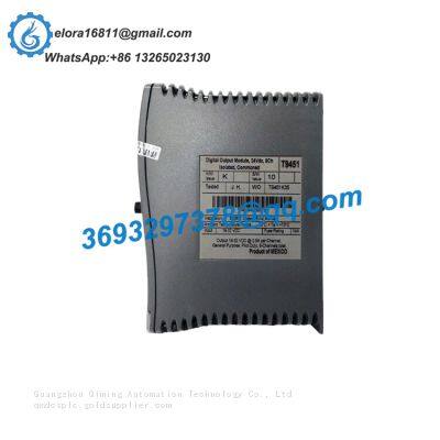 ICS TRIPLEX T9100 Dual processor module