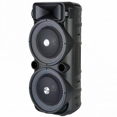 Hot Selling HF-8289 Double 8 Inch Horn Speaker RGB Led Light Home Party RGB Karaoke Music Player photo-2