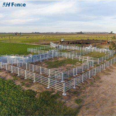 Portable Hot Dip Galvanized Steel Powder Coated Eco-Friendly Livestock Cattle Panels Safety Fencing Horse Fence 6ft Folding photo-2