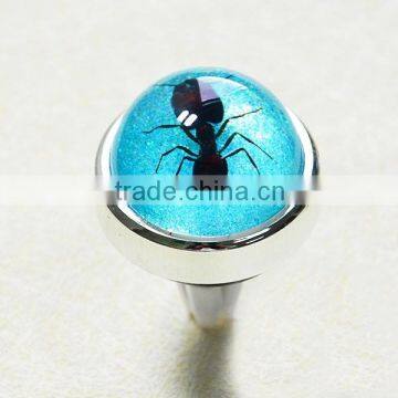 Insect Resin Car Vent Clip supplier