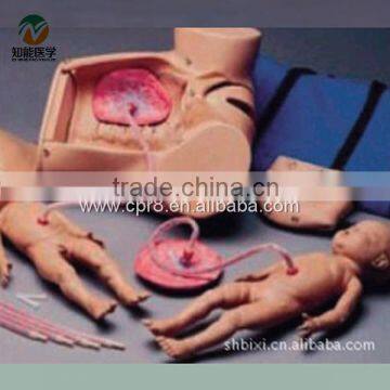 BIX-F52 Advanced delivery(childbirth) mechanism teaching series model