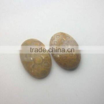 Wholesale high quality Smooth Polished Natural Fossilized Coral Stone cabochon