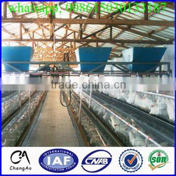 broiler house machinery poultry feeding machine price