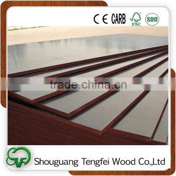 Black Film Faced Plywood, Construction Plywood