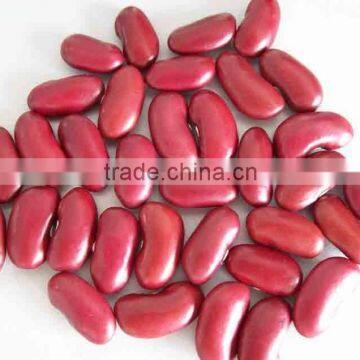 2015 good Dark red kidney beans with excellent quality FOR SALE