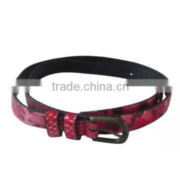 Wholesale Dog Collars,dog Leashes photo-2