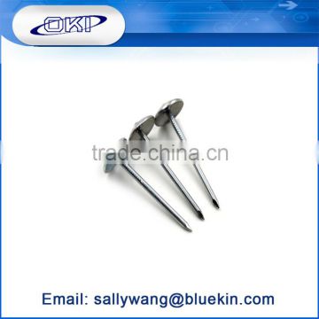 Factory professional high quality of china umbrella head roofing nails