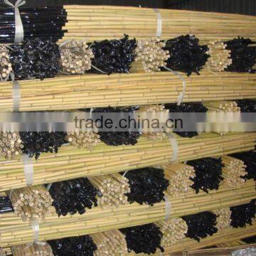 bamboo pole with plastic cover