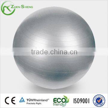 Zhensheng 65cm Gym Ball