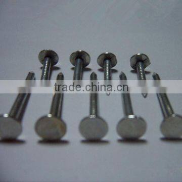 common nail made in china