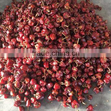 Round Chilli photo-2