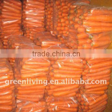 2014 fresh carrot wholesaler(70-150g,150-220g,220-290g)