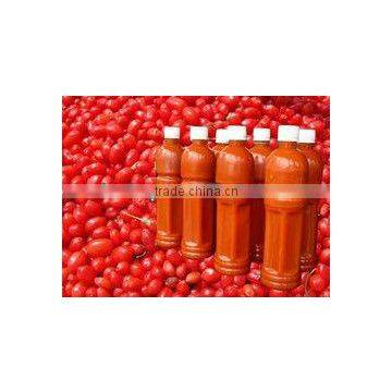 China BNP Supply HACCP ISO HALAL 100% Goji Natural & High Quality Goji Juice Concentrate