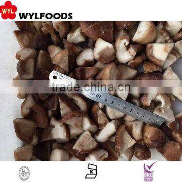 Iqf Price for Frozen Shiitake Quarter 2015 Crop photo-3