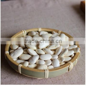 Medium White Kidney Beans