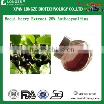 Maqui berry P.E Maqui berry Spray-dried Powder Maqui berry P.EExtract with Anthocyanidins 25% Polyphenols 10-20%