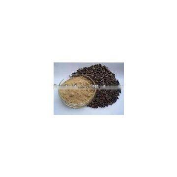 buckwheat seed extract powder