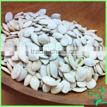 Export Pumpkin Seeds China Original Cheaper Price